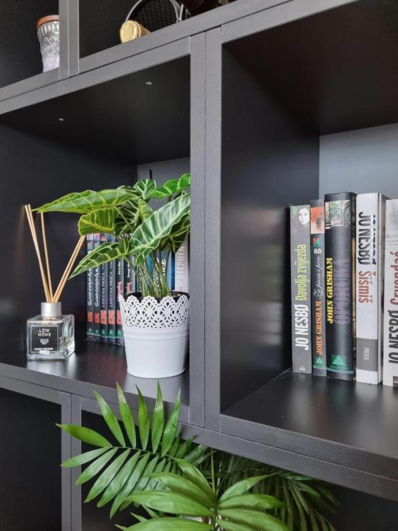 Apartment Amour Luxe Split Eksteriør bilde